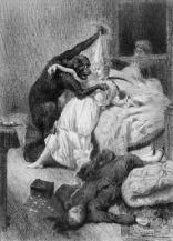 ruemorgueillustration